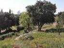 Acheter Maison 350 m2 Saint-gilles