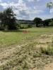 Acheter Terrain 3301 m2 Avezan