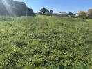 Acheter Terrain 2022 m2 Cercoux