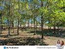 Vente Maison Beaussais 79
