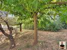 Acheter Maison 124 m2 Cotignac