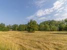 Acheter Terrain Ferte-imbault 53900 euros