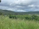 Annonce Vente Terrain Pietroso
