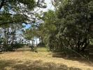 Acheter Maison Saint-georges-de-didonne Charente maritime