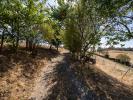 Acheter Maison Sainte-colombe-sur-gand 239000 euros