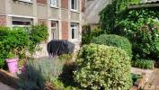 Annonce Vente 12 pi�ces Maison Saint-quentin