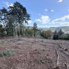 Annonce Vente Terrain Lons-le-saunier
