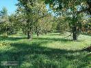 Acheter Terrain 1628 m2 Saint-vincent-rive-d'olt