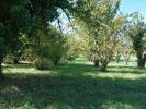 Acheter Terrain Saint-vincent-rive-d'olt 34000 euros