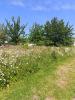 Land PLENEUF-VAL-ANDRE 