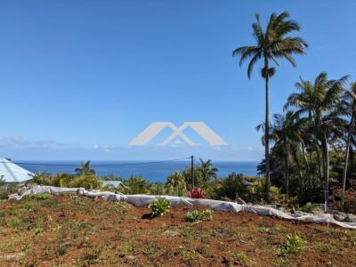 Vente Terrain SAINT-JOSEPH 97480