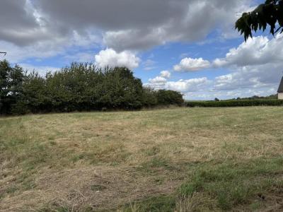 Vente Terrain SAINT-SULPICE-DES-LANDES  35