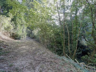 Vente Maison 4 pi�ces LACAZE 81330