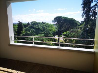 Location Appartement 3 pi�ces TOULOUSE 31200