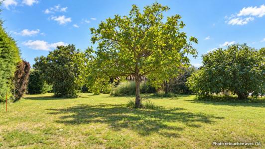 Vente Terrain AUBIGNAN 84810