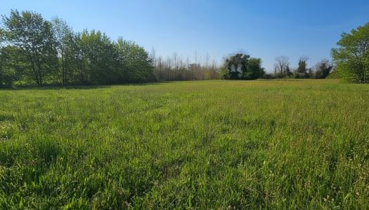 Vente Terrain LAFOX 47240