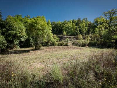 Vente Terrain COUZE-ET-SAINT-FRONT 24150