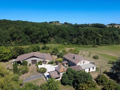 Vente Maison 12 pi�ces SEGALAS 47410