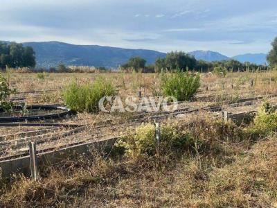 Vente Terrain NICE 06200