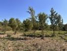 Acheter Terrain 2600 m2 Cabries