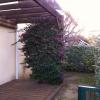 Annonce Location 3 pi�ces Appartement Elne
