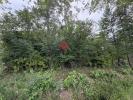 Annonce Vente Terrain Castagnac