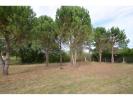 Annonce Vente Terrain Fieu