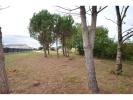 Acheter Terrain Fieu 49410 euros