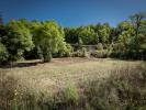 Vente Terrain Couze-et-saint-front  24150 3199 m2