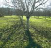 Acheter Maison Meyronne 287000 euros