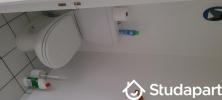 Louer Appartement Saclay 620 euros