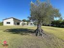 Vente Maison Saint-sulpice 81