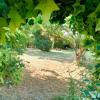 Acheter Maison 101 m2 Betheniville