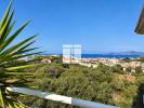 Apartment ILE-ROUSSE 