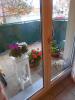 Location Appartement Seloncourt 25