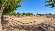 Annonce Vente Prestige Beziers