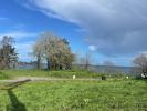 Annonce Vente Terrain 