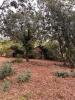 Acheter Terrain  18000 euros