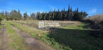 Acheter Terrain Elne Pyrenees orientales