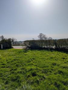 Vente Maison TREBAN 