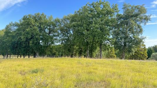 Vente Terrain MONTJOIRE  31