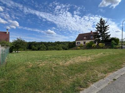 Vente Terrain VILLE-EN-TARDENOIS  51