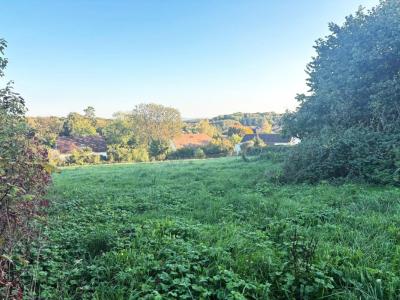 Vente Maison CHEMAUDIN 