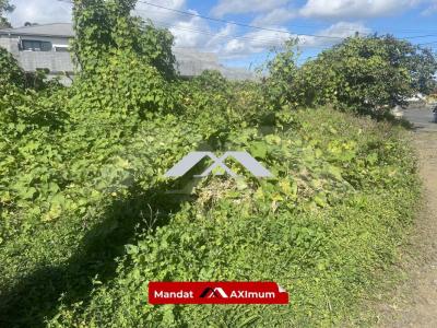 Vente Terrain TAMPON  974