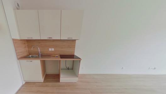 Location Appartement 2 pièces SAINT-JEAN-DE-BRAYE 45800