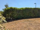 Acheter Maison Bressolles Allier