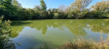 Annonce Vente Terrain 