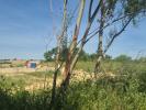 Land ISLE-JOURDAIN 