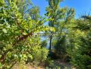 Vente Maison Roques 31