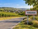 Vente Terrain Tinqueux  51430 679 m2